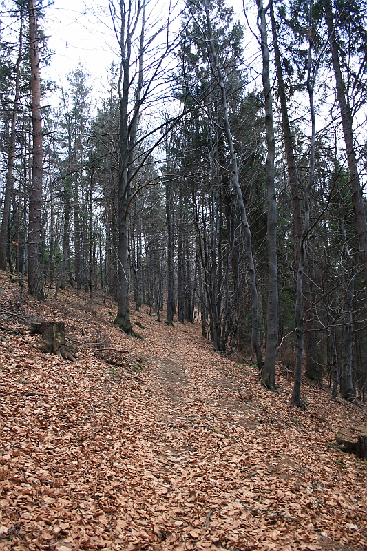 Gora Zar 016